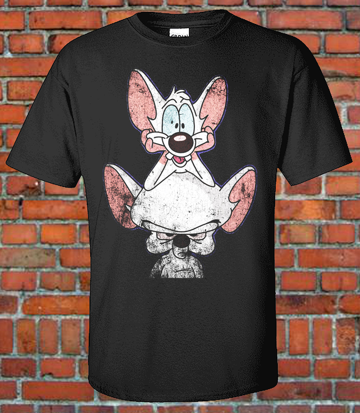 Pinky and Brain Cartoon