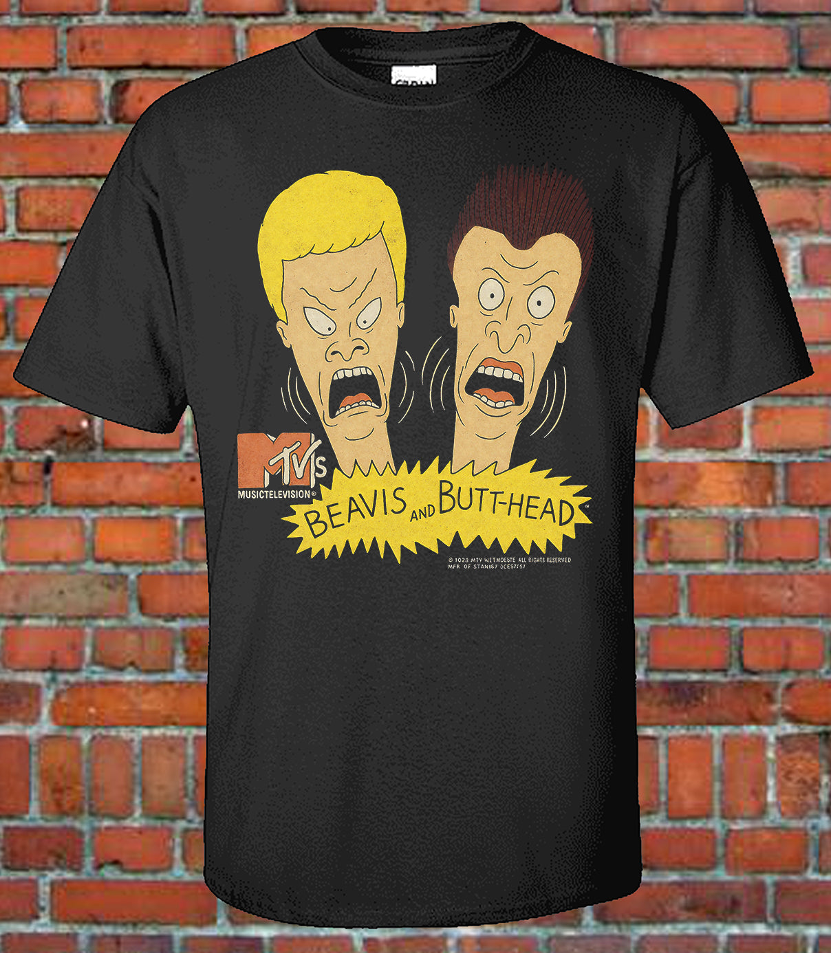 Beavis and Butthead - Graphic Tee